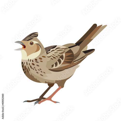 Lark stands on its paws and sings. Isolated vector shape