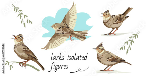 Flying, singing, standing, sitting on a branch larks. Isolated vector figures