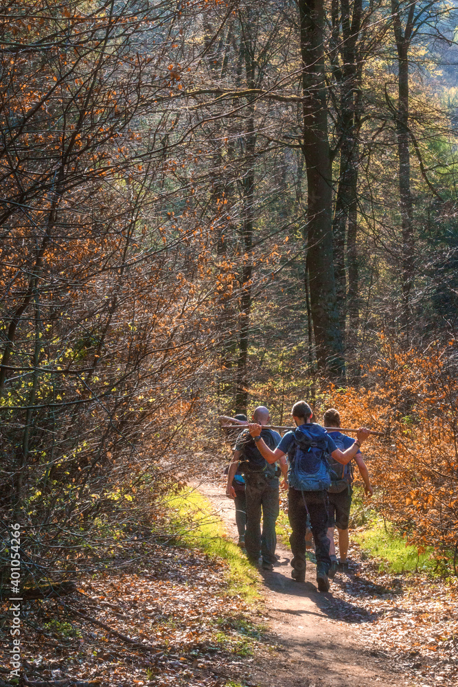 group of hiking people from behind in orange forest group of hiking people from behind in orange forest