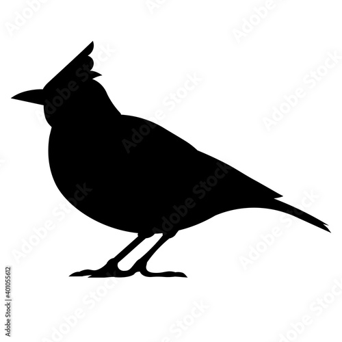 Isolated vector silhouette of a lark