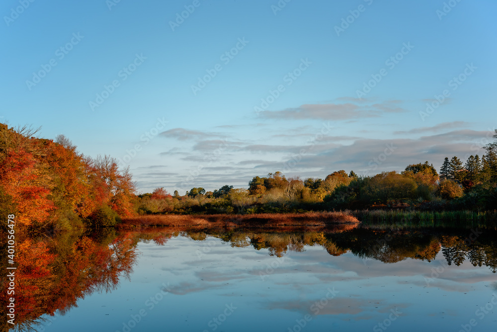 Autumn reflections on Old Millpond, in Chilmark, Massachusetts