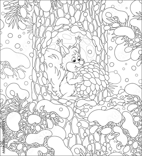 Fluffy little squirrel with a big pine cone at home in a cozy hollow on a snow-covered tree in a thicket of a snowy wild forest on a cold winter day, black and white vector cartoon
