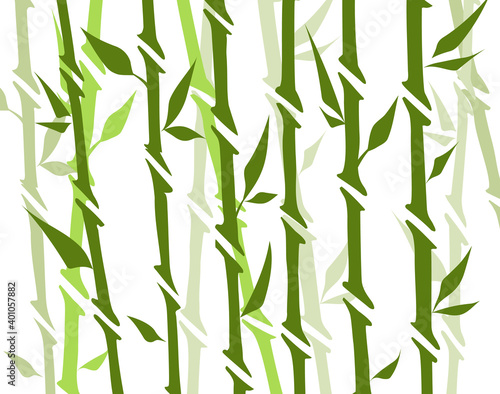 Bamboo forest set. Nature Japan, China. Plant Green tree with leaves. Rainforest in Asia. © the8monkey