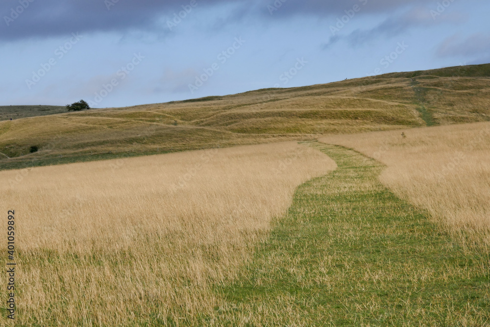 English countryside of White Horse Hill Uffington with track leading to summit