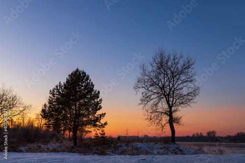 Tree silhouette by the river in the dawn twilight before sunrise in winter cold morning. © sergofan2015