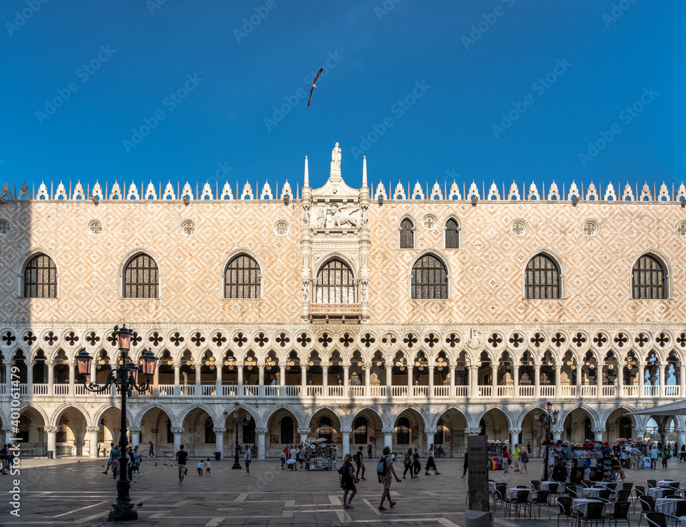 Fototapeta premium die Piazzetta in Venedig mit dem Dogenpalast in der Abendsonne, mit Möwe