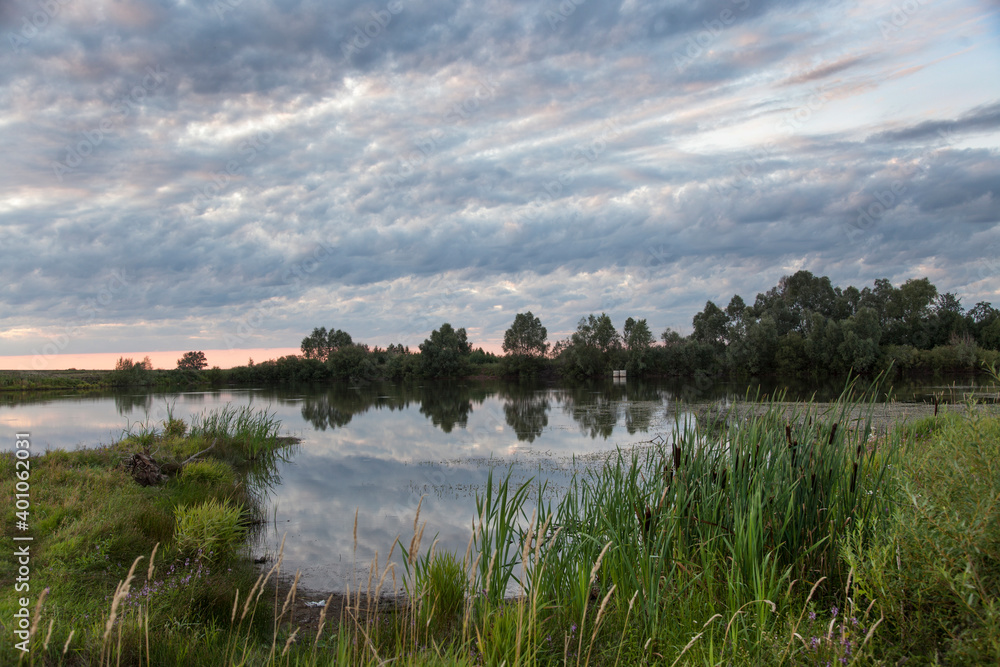 Autumn evening on the lake, the shores of which are overgrown with grass and reeds. In the sky, clouds are colored by the light of the setting sun.