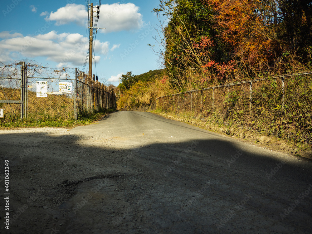 田舎道の風景