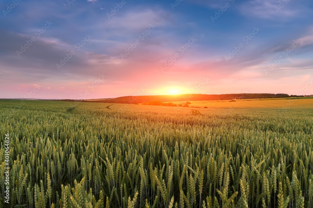 Beautiful landscape on a sunset