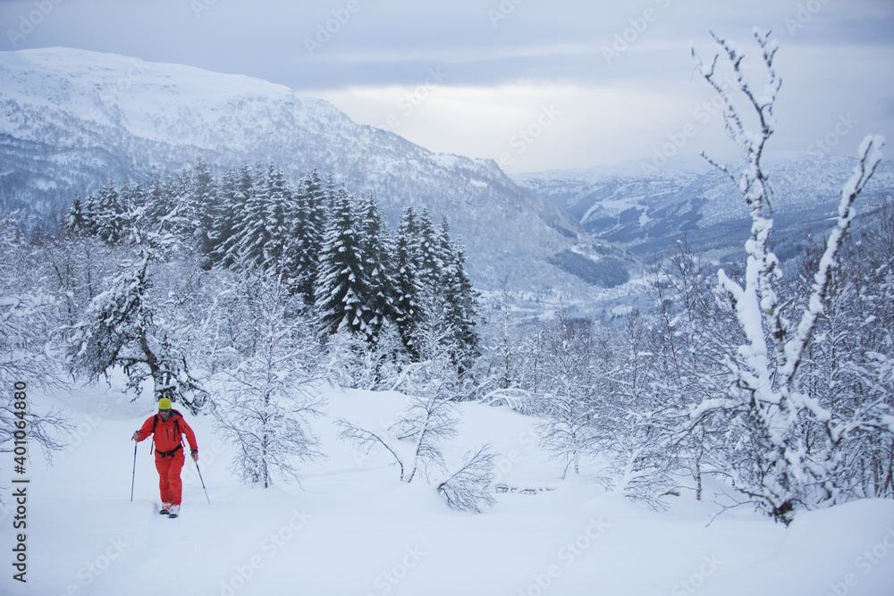 Skiing Skiing