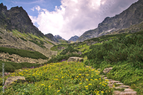Fototapeta Naklejka Na Ścianę i Meble -  Litworowa Dolina w Tatrach z widokiem na Polski Grzebień, Słowacja.