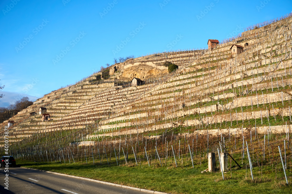 A blue sky over the vineyard hills in autumn with a road in front of it