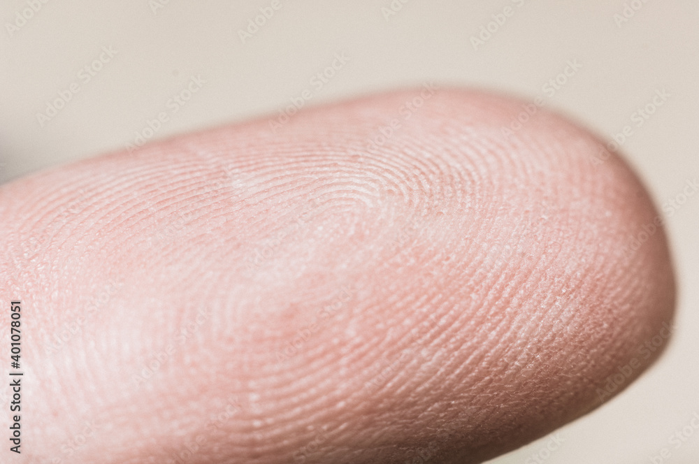 Macro view of a finger print Macro view of a finger print