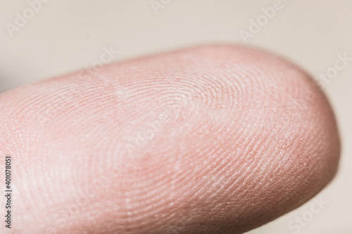 Macro view of a finger print