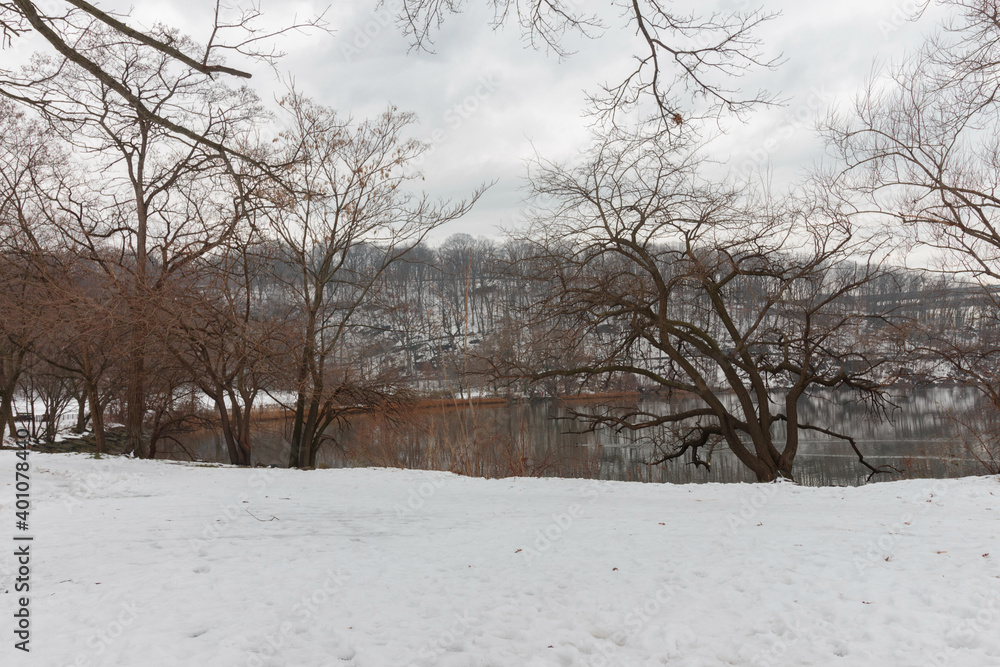 winter landscape scene of the salt marsh in Spuyten Duyvil Creek in Inwood Hill Park in Northern Manhattan New York City, bare, leafless trees against a white cloud covered sky and snow on the ground winter landscape scene of the salt marsh in Spuyten Duyvil Creek in Inwood Hill Park in Northern Manhattan New York City, bare, leafless trees against a white cloud covered sky and snow on the ground