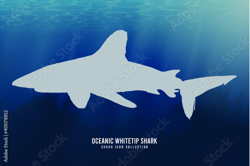 Oceanic Whitetip Shark