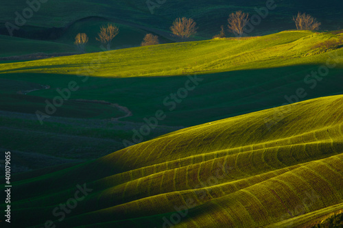 Verdi campi agricoli delle crete senesi in Toscana