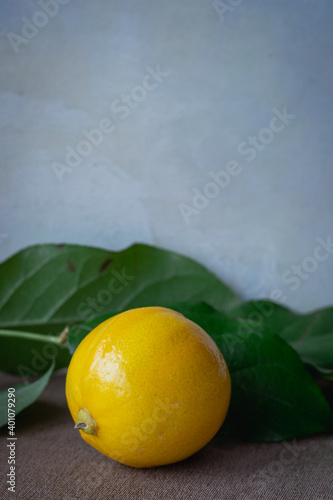 One yellow lemon on a Mediterranean wall background