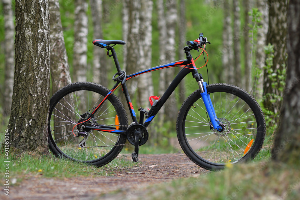 BMX bicycle in the vibrant spring  forest with birches. Low DOF.