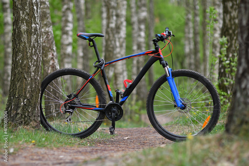 BMX bicycle in the vibrant spring forest with birches. Low DOF.