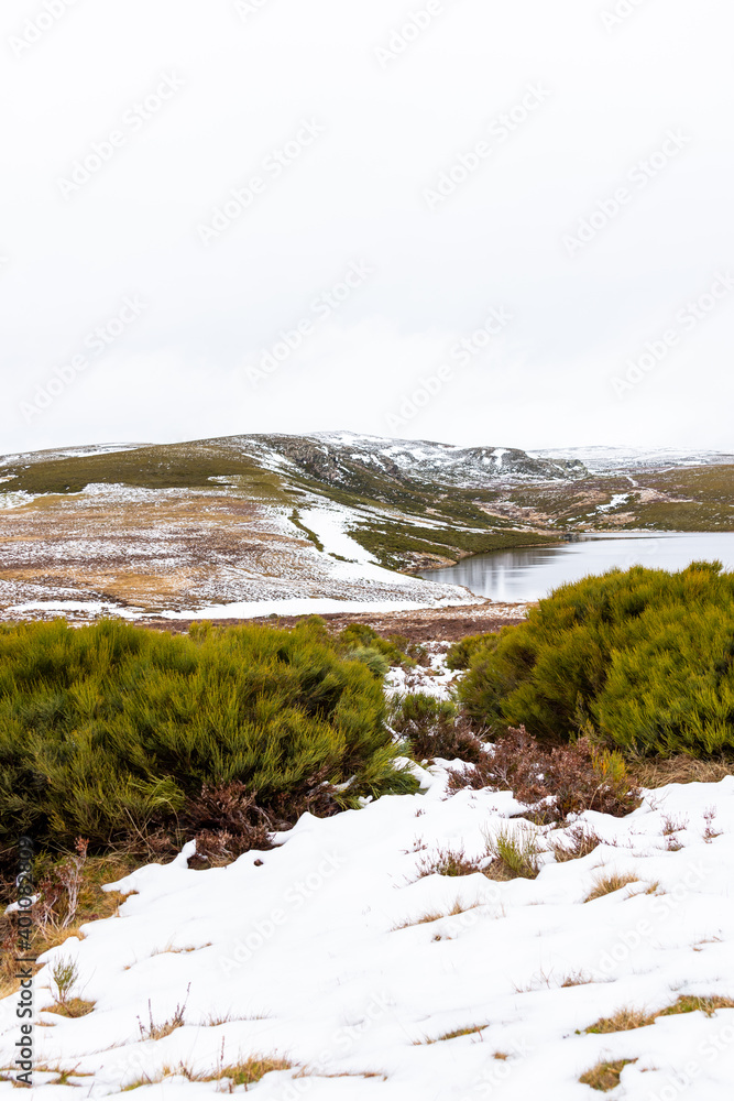 Nice vertical panoramic view of a lagoon with snowy mountains in the background, without pollution, without people, from the bushes Nice vertical panoramic view of a lagoon with snowy mountains in the background, without pollution, without people, from the bushes