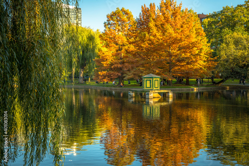 Vibrant colors reflected in the Boston Public Garden lagoon