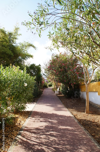  interesting colorful holiday houses in the streets of the Spanish city of Puerto De la Cruz in Tenerife