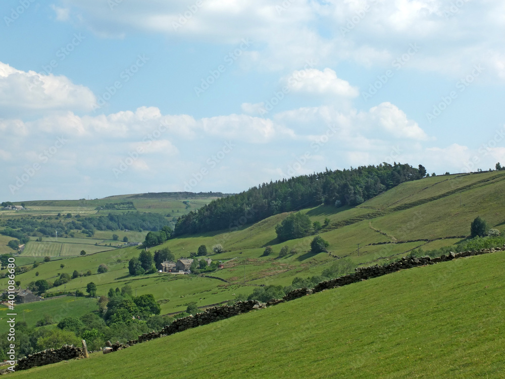 panoramic view across the calder valley near mytholmroyd in west yorkshire with a pine tree plantation and farmhouses in summer