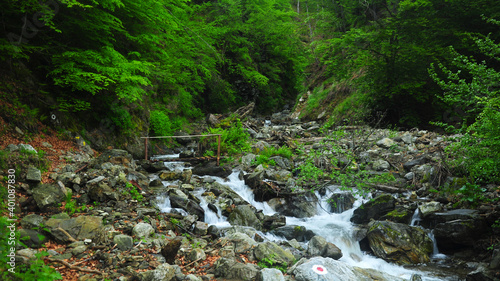 Canvas-taulu A small mountain creek flowing into cascades over stones and under a footbridge in a wild beech forest