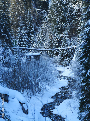 Frozen winter scenery in Capatanii Massif: Latorita river flows along snowed spruce tree forests and under a wooden footbridge. Snow and frost covers everything. Carpathian Mountains, Romania. photo