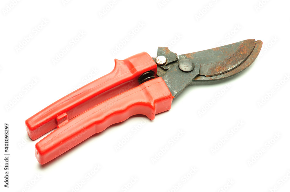 Scissors for pruning tree branches and bushes on a white background Scissors for pruning tree branches and bushes on a white background