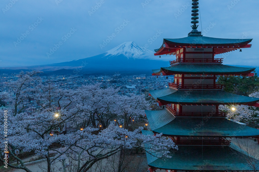 新倉山浅間公園より富士山と満開の桜
