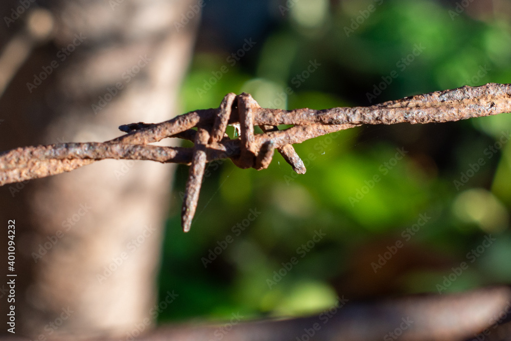 A closeup or macro of an old worn textured rusty barb wire or barbed wire fence. A closeup or macro of an old worn textured rusty barb wire or barbed wire fence.