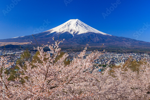 青空と富士山と桜