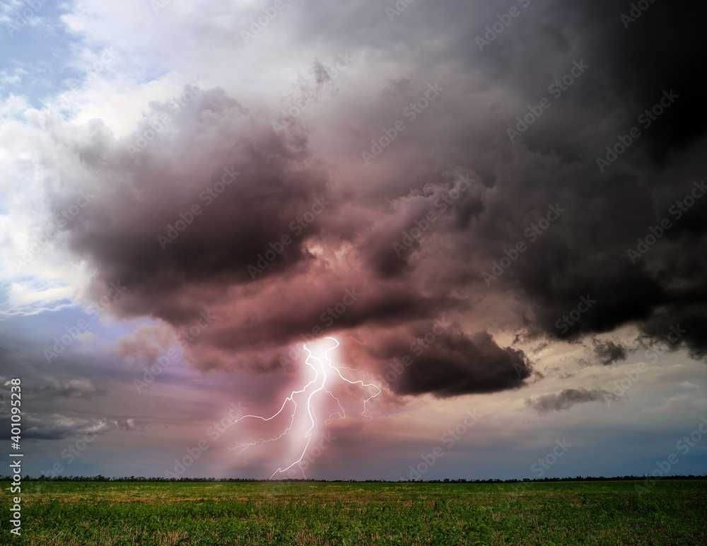 Picturesque thunderstorm over green field. Lightning striking from dark cloudy sky