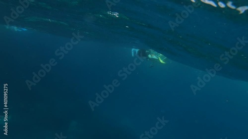 Wallpaper Mural Several people are snorkeling in a blue, turquoise, paradisiac and clearwater ocean of the Galapagos islands. They are close to a rocky volcanic island. Torontodigital.ca
