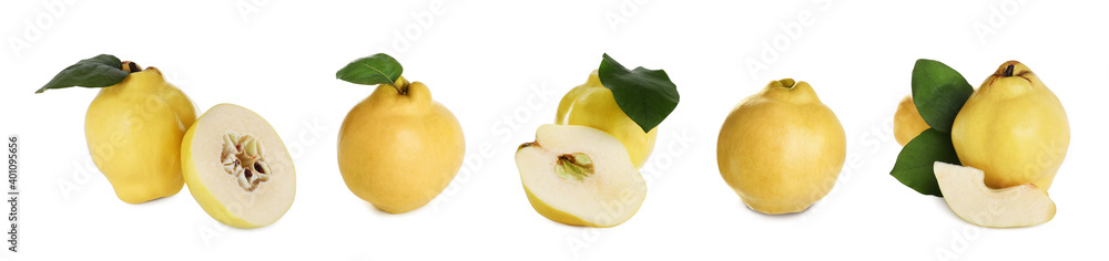 Set of delicious ripe quinces on white background. Banner design