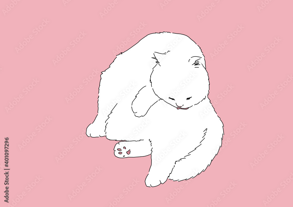 Fototapeta premium 猫