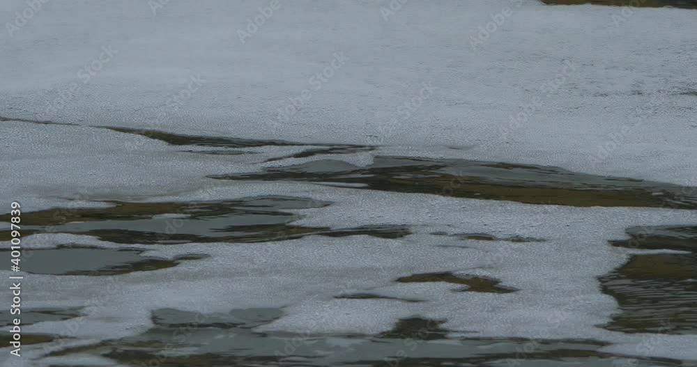 surface of polluted water surface of polluted water