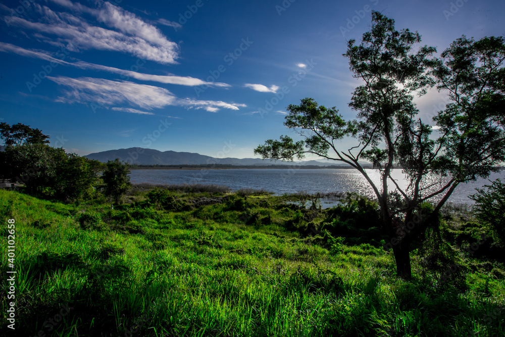 Fototapeta premium Close-up natural background of the morning scenery with the sun's rays hitting the water surface, the grassy trees on the edge of the reservoir, and the blurred wind, cool during the trip.
