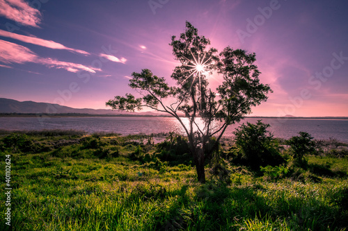 Close-up natural background of the morning scenery with the sun s rays hitting the water surface  the grassy trees on the edge of the reservoir  and the blurred wind  cool during the trip.