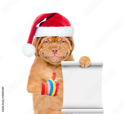 Happy puppy wearing red christmas hat holds empty list and shows thumbs up gesture. isolated on white background
