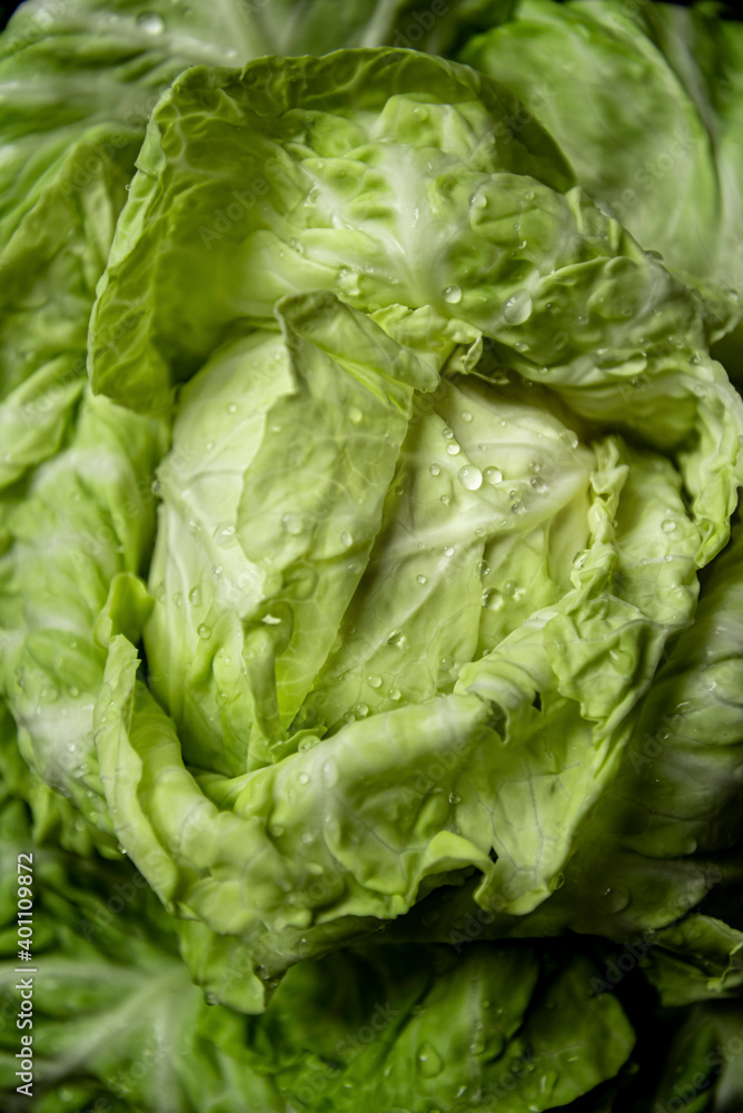 Macro shot of Head of fresh cabbage Macro shot of Head of fresh cabbage