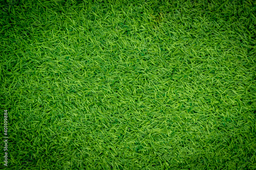 Obraz premium Green artificial grass natural
