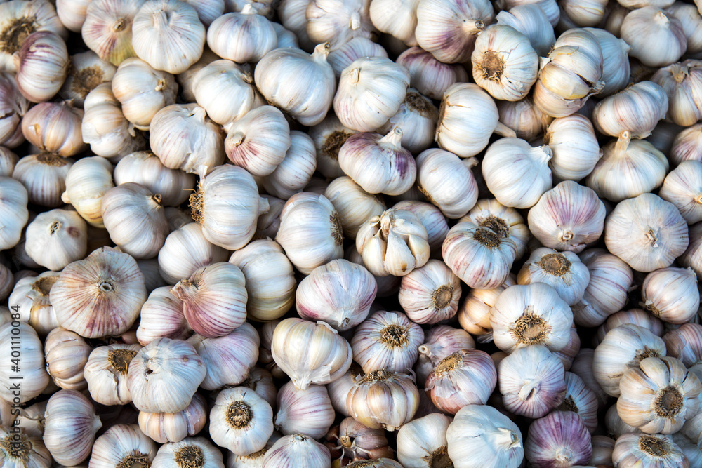 garlic, Fresh garlic - Red garlic, Garlic group background, Garlic cloves background garlic, Fresh garlic - Red garlic, Garlic group background, Garlic cloves background