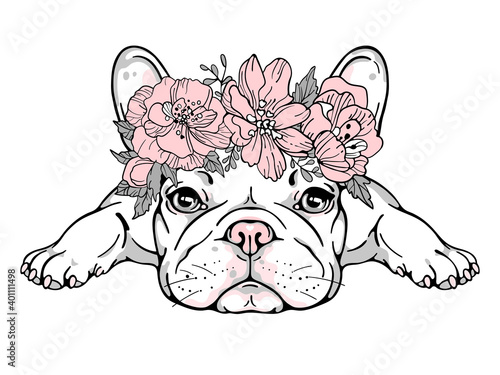 Cute french bulldog in flower wreath. Wector illustration