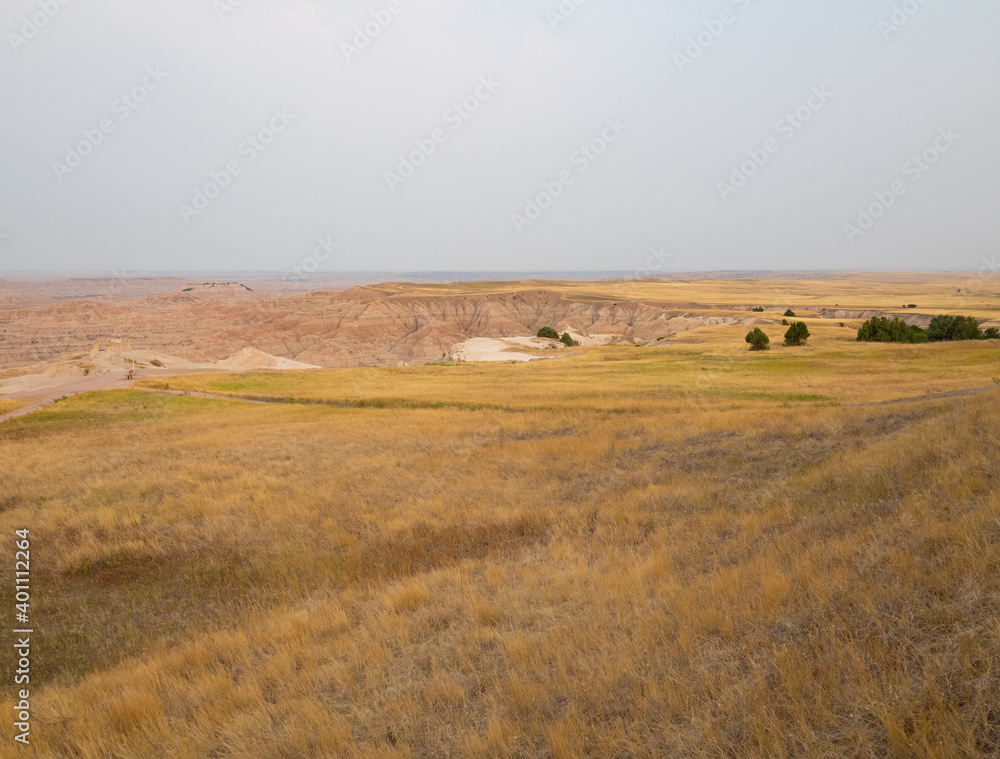 Obraz premium Mixed grass grasslands in Badlands National Park, South Dakota photographed in late summer when grass is dry.