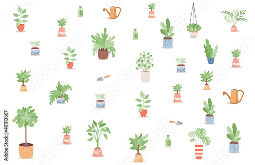 Set of green plants, trees and flowers in pots and gardening tools vector flat illustration. Domestic or tropical plants in pots, watering cans, shovels, bottles with fertilizer for plants.