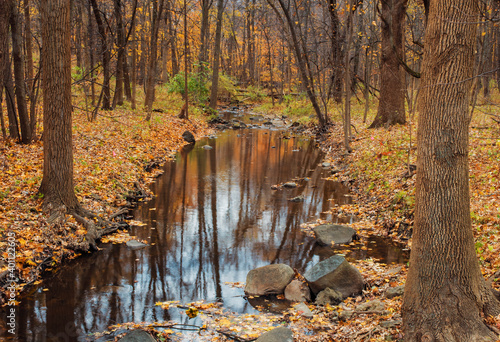 533-07 Hammel Creek Autumn
