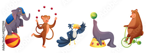 Circus Animals Doing Performance In Various Types On White Background.